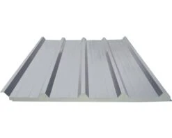 PRECIT Sandwichpaneel Voor Dak Rd 0,69 RAL 7016 Antracietgrijs 4000 X 1000 X 40 Mm