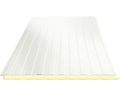 PRECIT Sandwichpaneel Voor Wand RAL 9002 Grijswit 3000 X 1000 X 40 Mm