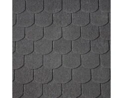 PRECIT Beverstaartdakpannen Zwart Per Pak = 2 M²